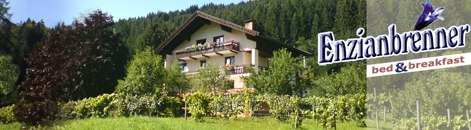 Nassfeld und Gailtal - Bed and Breakfast bei Enzianbrenner